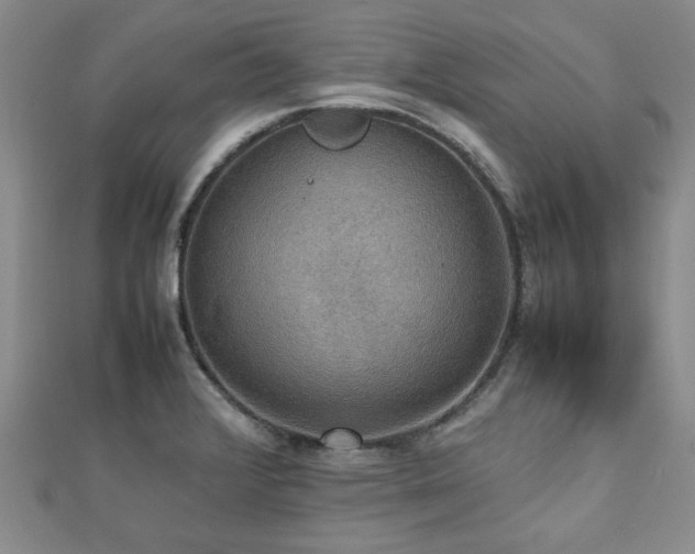 X0000112471376200908171149