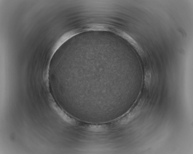 X0000112471378200908171149