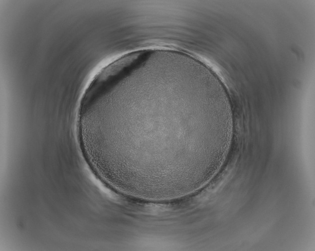 X0000112471379200908171149