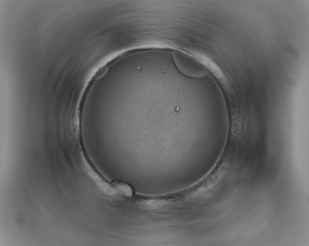 X0000112471380200908171149