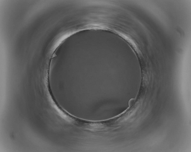 X0000112471383200908171149