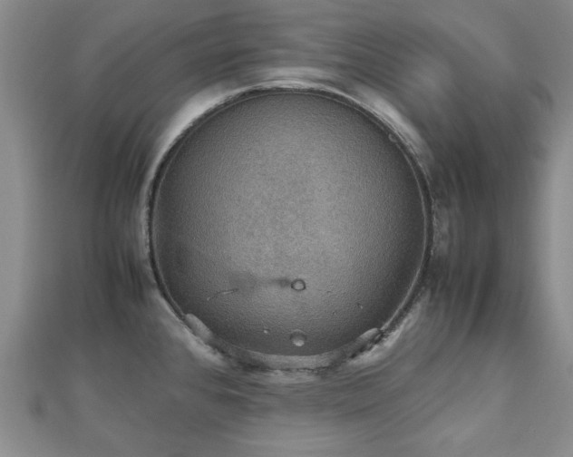 X0000112471384200908171149