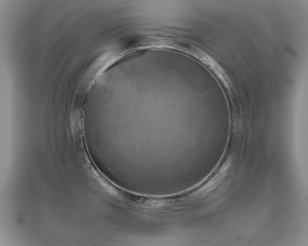 X0000112471385200908171149