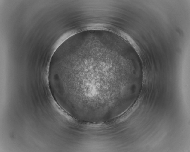 X0000112471386200908171149