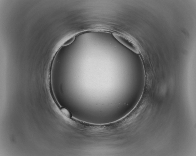 X0000112471387200908171149