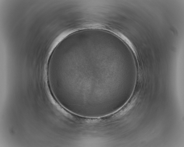 X0000112471389200908171149