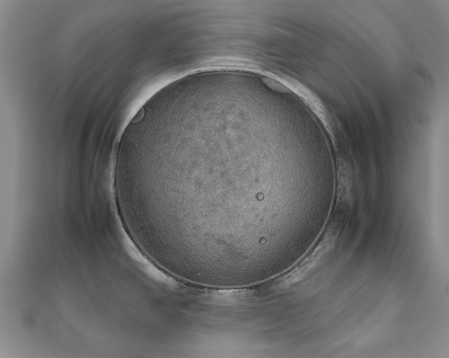 X0000112471390200908171149