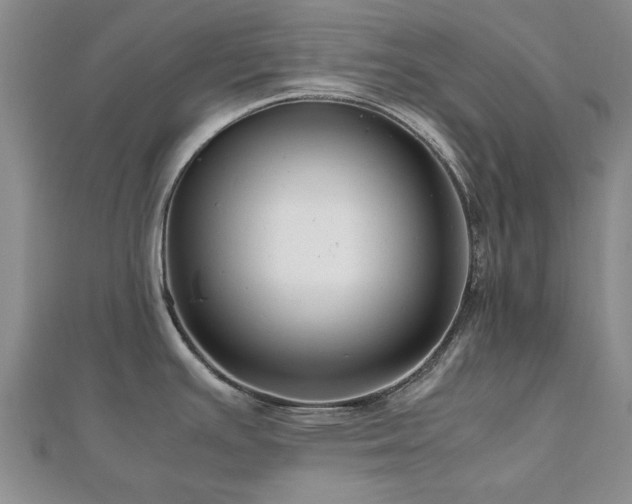 X0000112471391200908171149