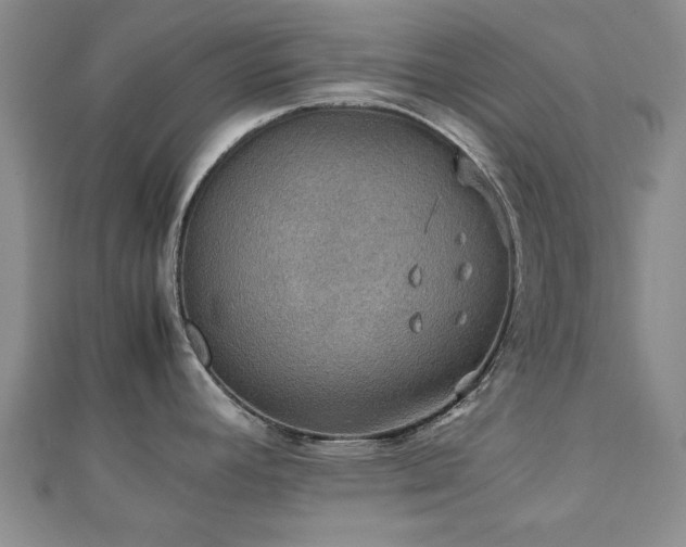 X0000112471392200908171149