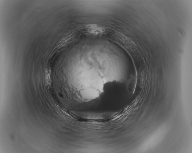 X0000112471394200908171148
