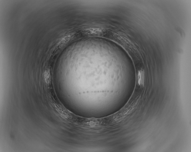 X0000112471395200908171148