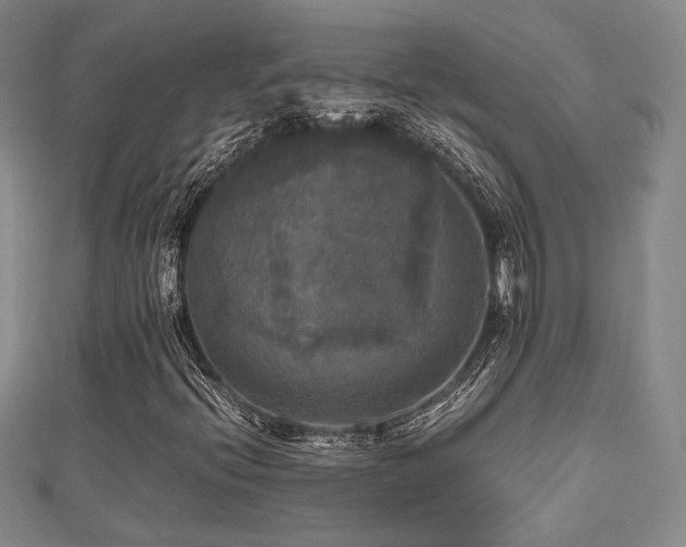 X0000112471396200908171148