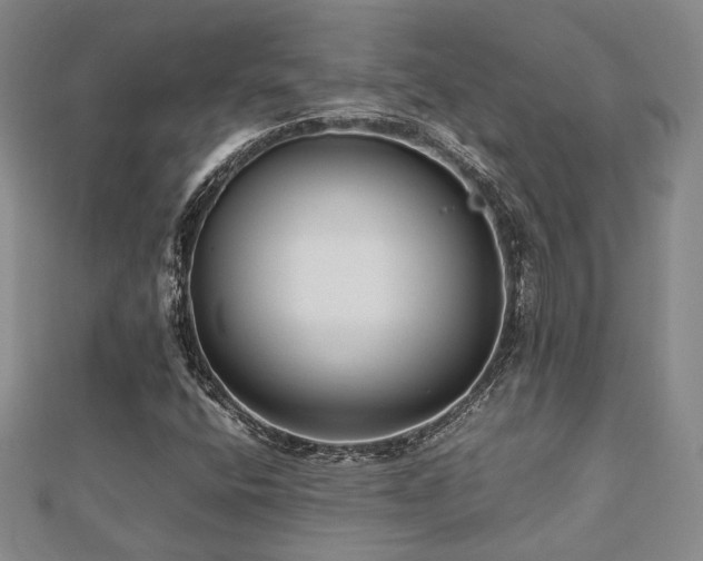 X0000112471400200908171148