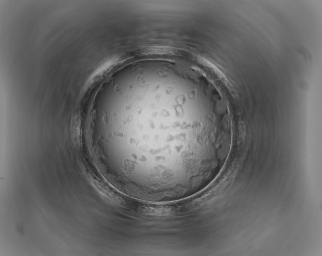 X0000112471403200908171148