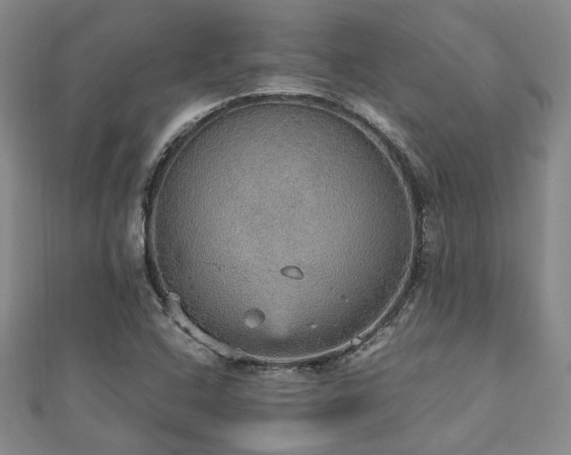 X0000112471408200908171149