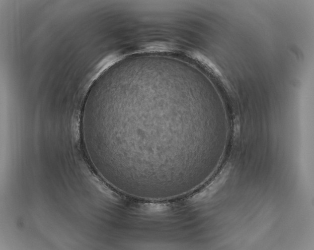 X0000112471409200908171149