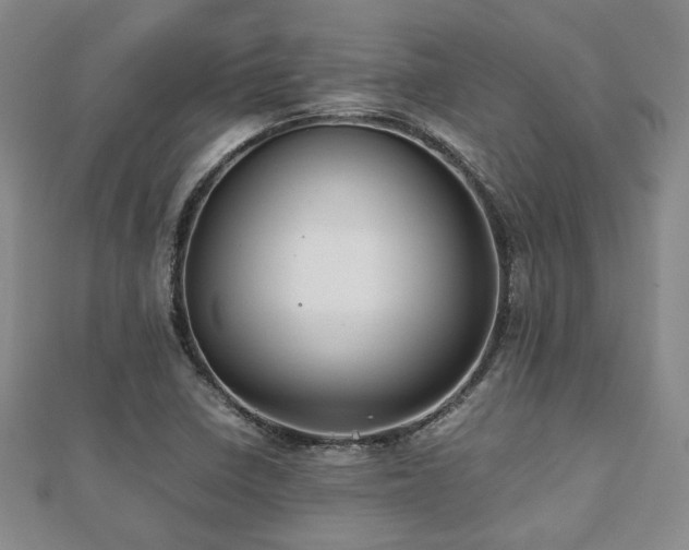 X0000112471410200908171149