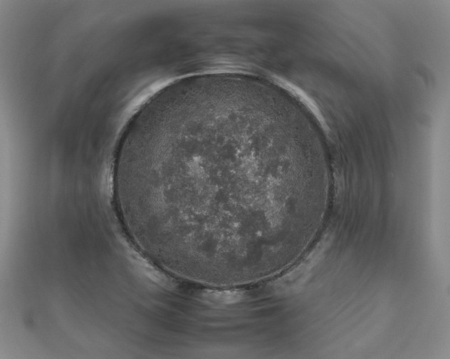 X0000112471415200908171149