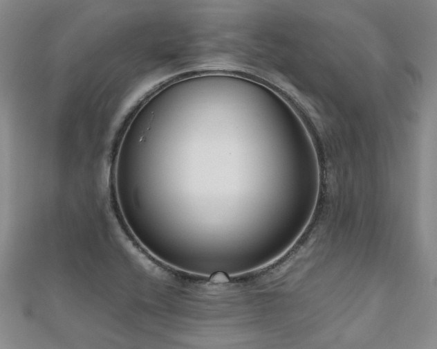 X0000112471416200908171149