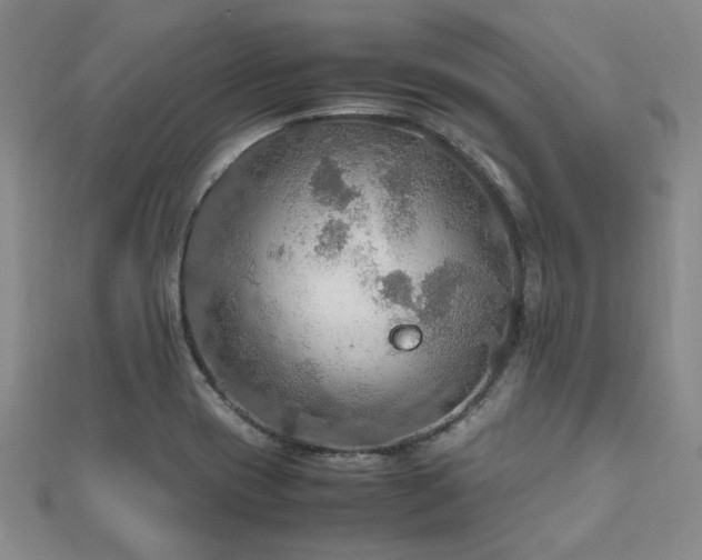 X0000112471417200908171149