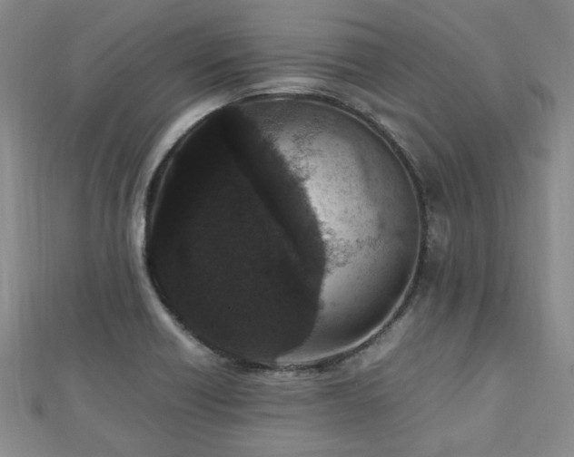 X0000112471418200908171149