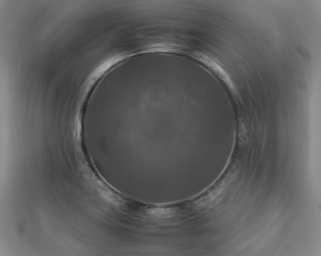 X0000112471419200908171149