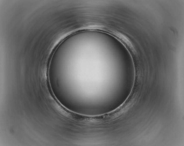 X0000112471420200908171149