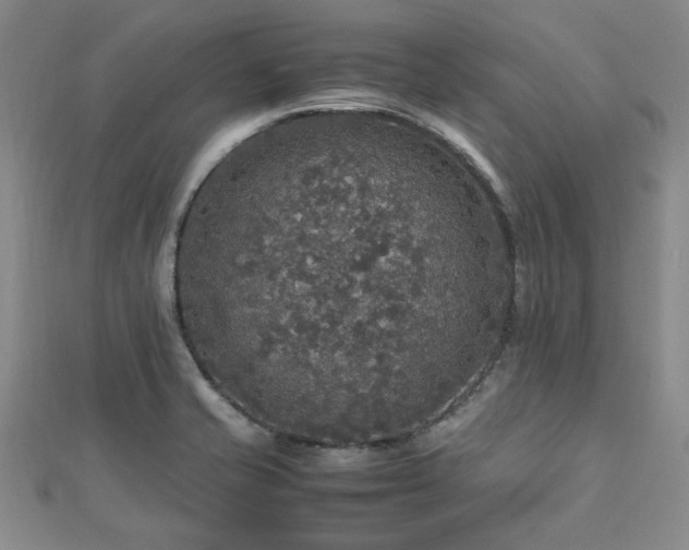 X0000112471421200908171149