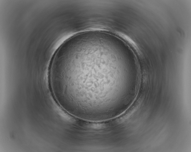 X0000112471423200908171149