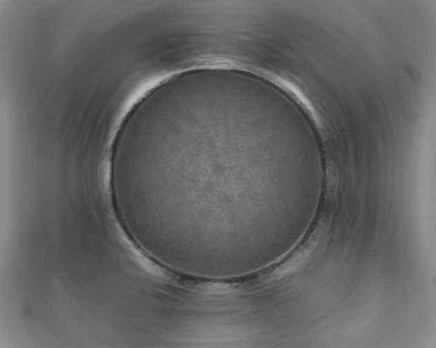 X0000112471424200908171149