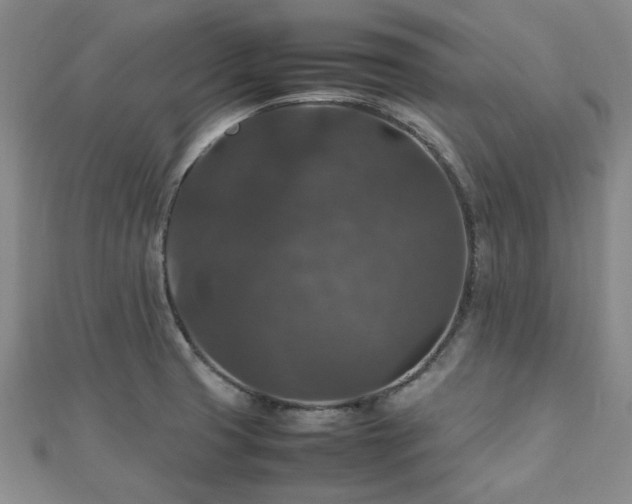 X0000112471425200908171149