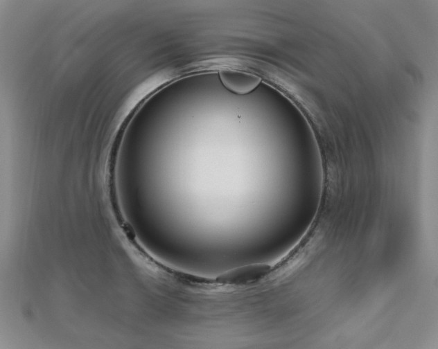 X0000112471426200908171149