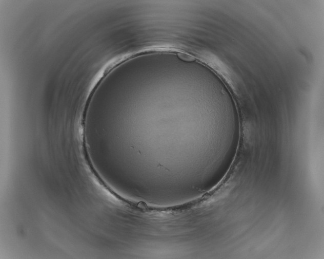 X0000112471428200908171149