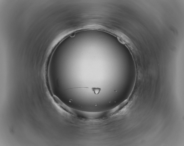 X0000112471430200908171149