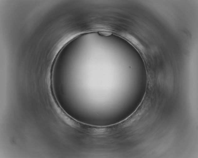 X0000112471431200908171149