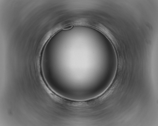 X0000112471434200908171149