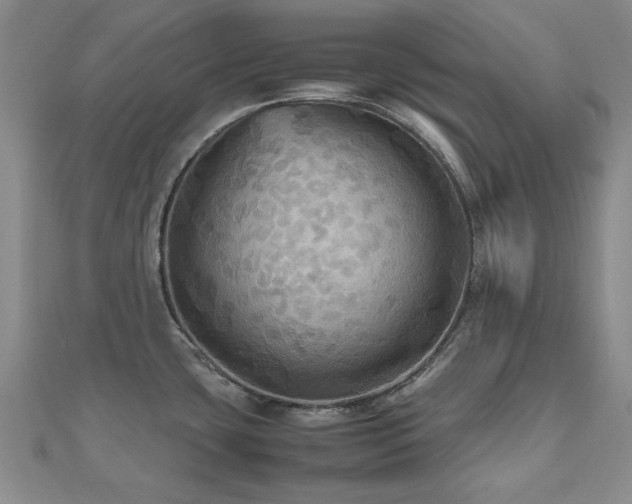 X0000112471435200908171149