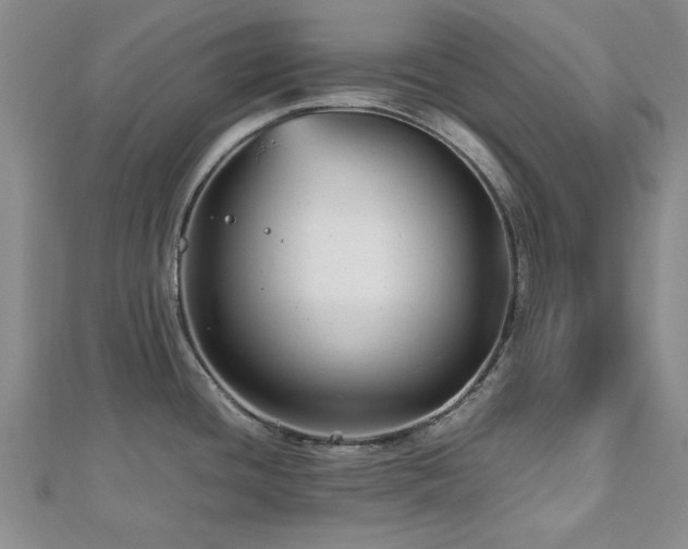 X0000112471436200908171149