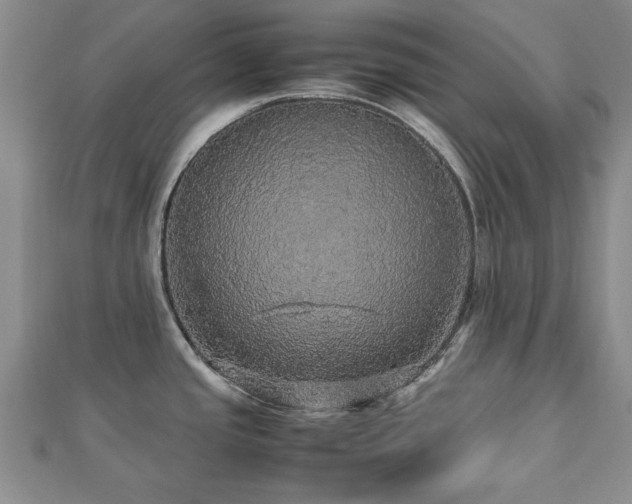 X0000112471437200908171149