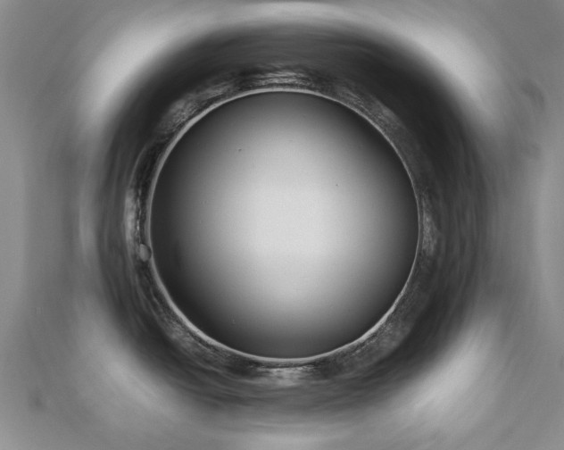 X0000112471438200908171149