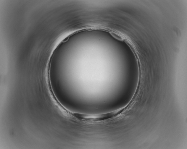 X0000112471440200908171149