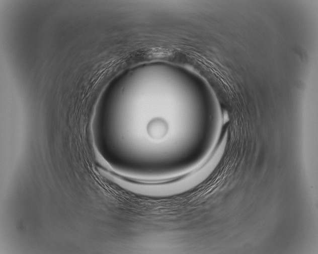 X0000112471441200908171148