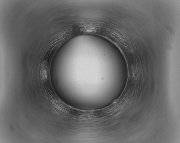 X0000112471442200908171148