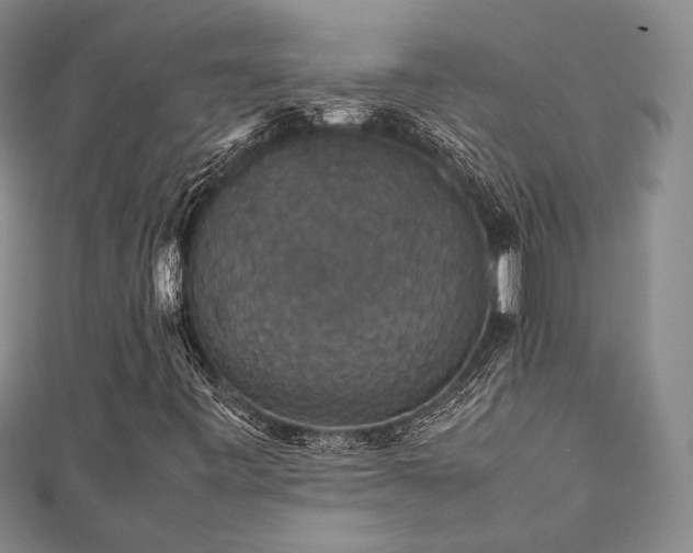 X0000112471443200908171148