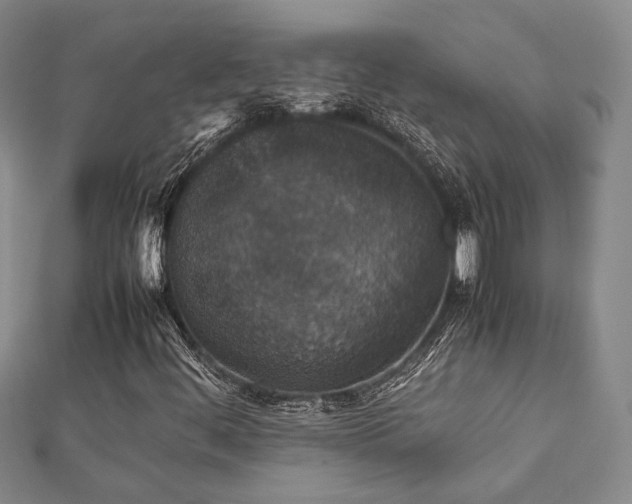 X0000112471444200908171148