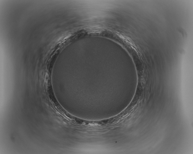 X0000112471445200908171148