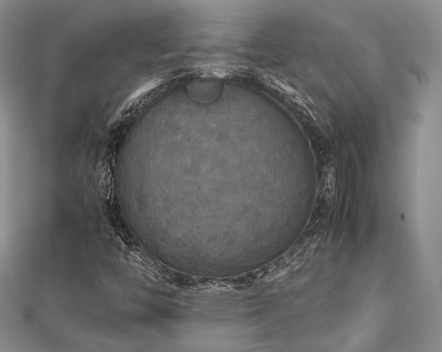 X0000112471446200908171148