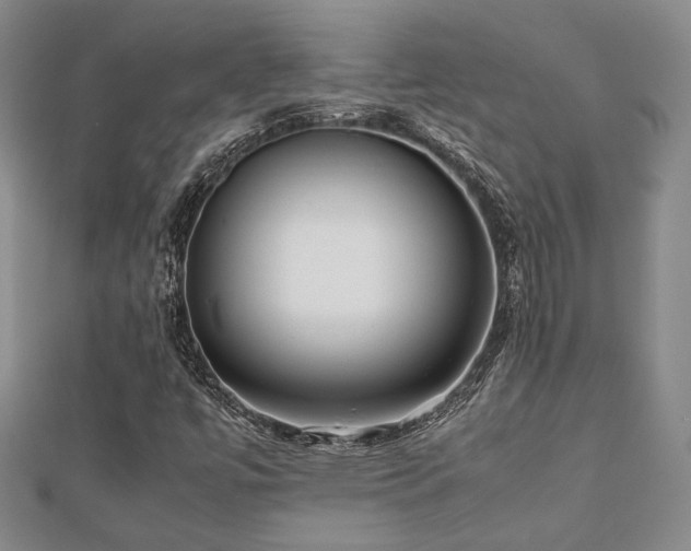 X0000112471447200908171148