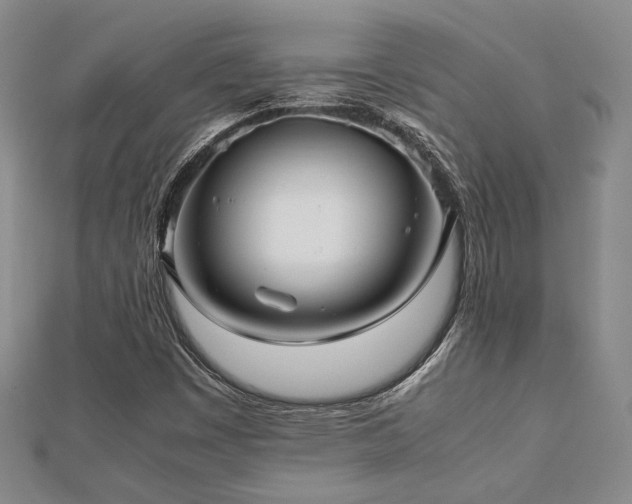 X0000112471449200908171148