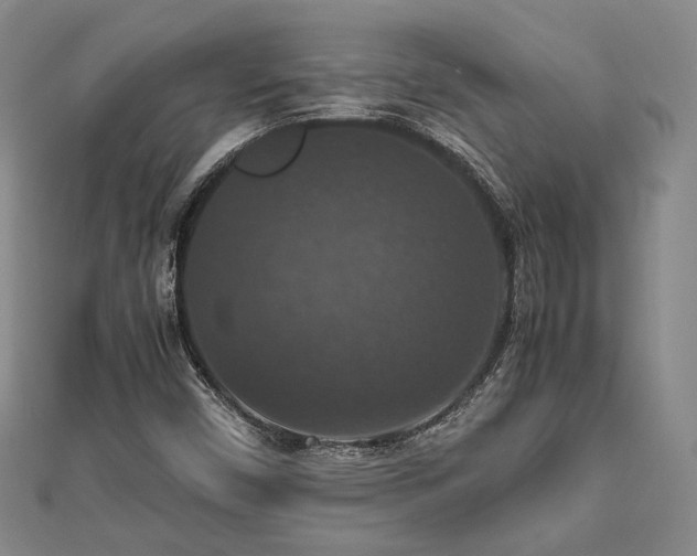 X0000112471450200908171148
